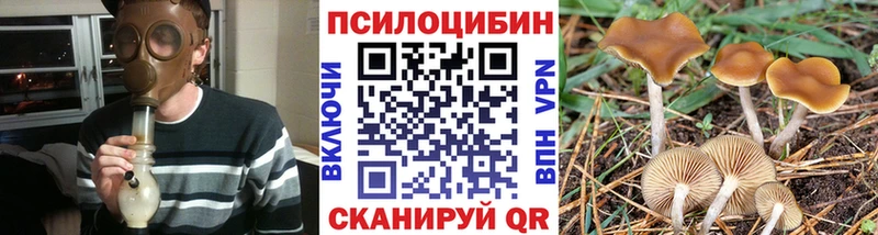где можно купить наркотик  Павлово  кракен сайт  Псилоцибиновые грибы мухоморы 