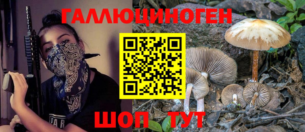 Павлово  Псилоцибиновые грибы Magic Shrooms  Вход с VPN 