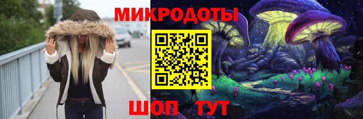 Псилоцибиновые грибы Psilocybe Павлово